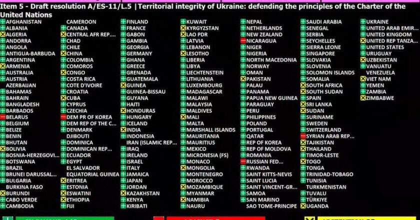 Annexion de la Russie en Ukraine : Togo, Mali (…) liste des pays africains qui n’ont pas condamné à l'ONU