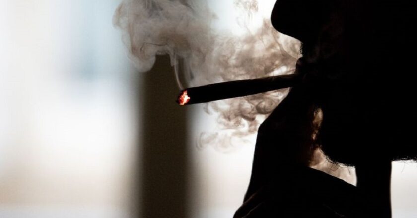 Vers une légalisation de la Marijuana dans ce pays