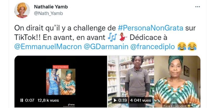 Nathalie Yamb déclenche un nouveau challenge sur TikTok