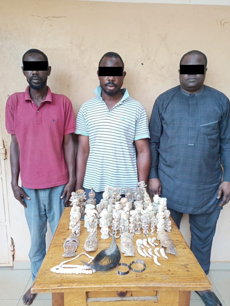 Commerce illégal d’ivoires : 3 trafiquants arrêtés à Lomé