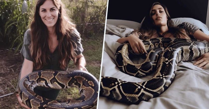 Terrifiant : elle dort chaque soir avec son python et fait une affreuse découverte